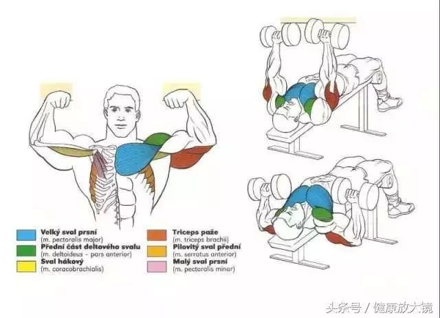 55组健身房器械动作指南！不再做“器械白痴”！