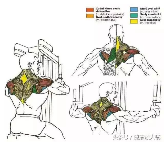 55组健身房器械动作指南！不再做“器械白痴”！