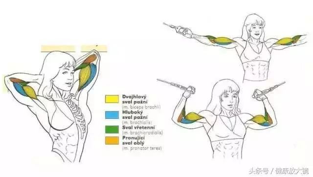 55组健身房器械动作指南！不再做“器械白痴”！