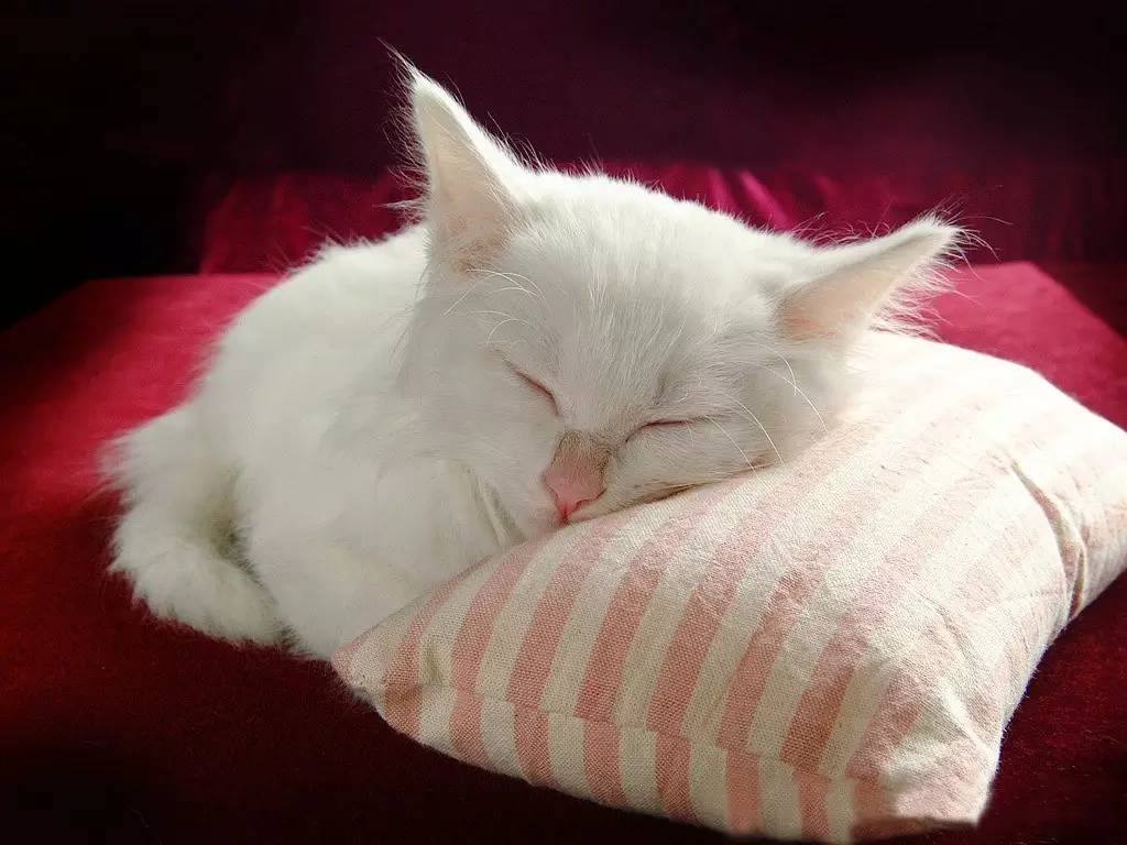 人体24小时使用手册！你读懂了吗