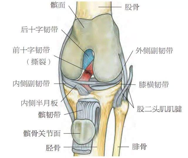 3种常见跑步损伤：一招应急+深入讲解
