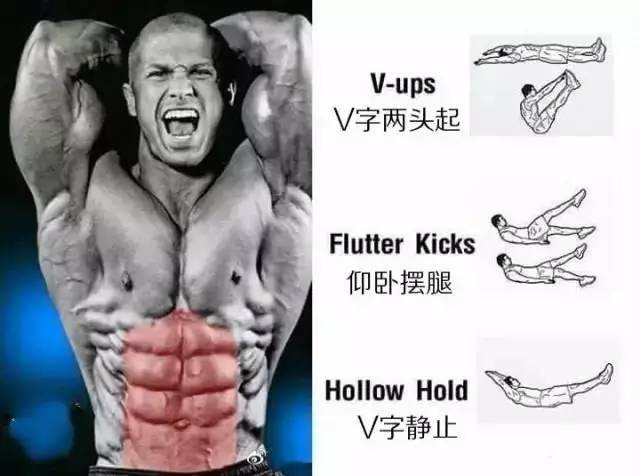 事半功倍的腹肌练习法｜每一块肌肉都有一套专属动作！