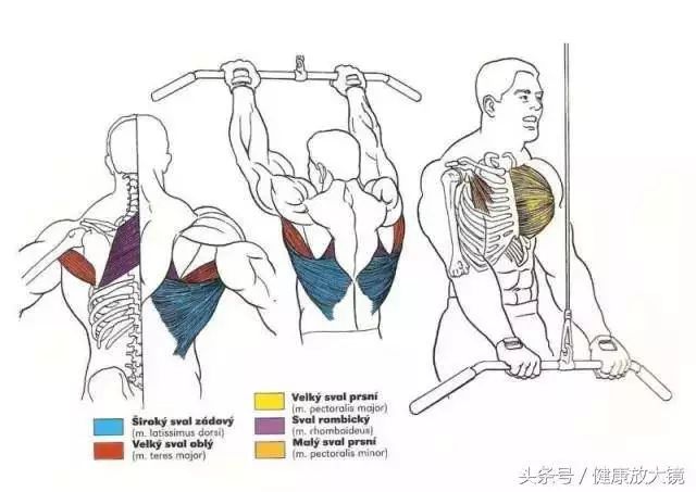 55组健身房器械动作指南！不再做“器械白痴”！