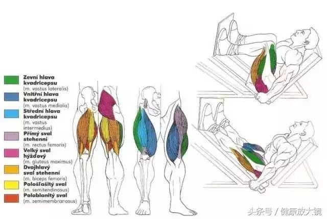 55组健身房器械动作指南！不再做“器械白痴”！