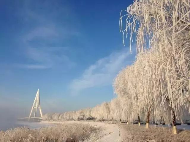 跑友分享｜2017，找个古色古香的安静地方，去慢慢地跑步