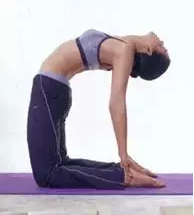 范爷独家蝴蝶骨美背教程