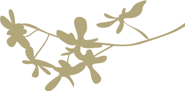 诗人文弱？陆游苏轼都是跑者