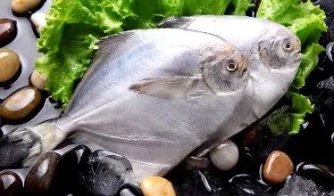 喝骨头汤能瘦身？一起来看这些美味又减肥的食物吧！