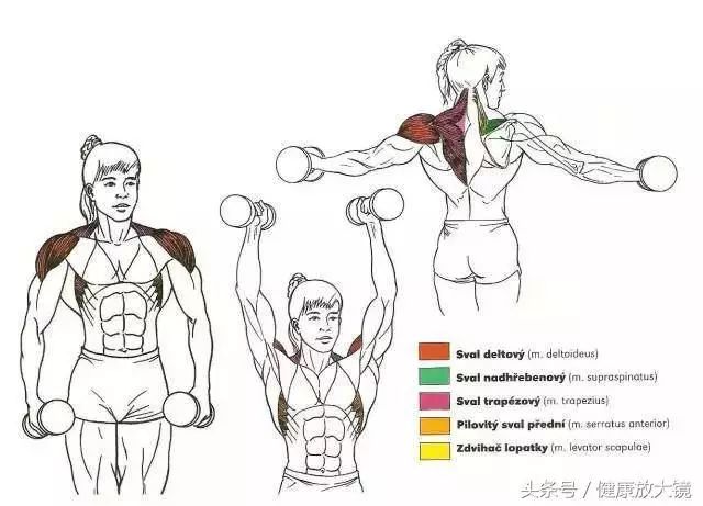 55组健身房器械动作指南！不再做“器械白痴”！