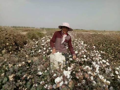 跑友分享｜一个人，19个马拉松，34个省