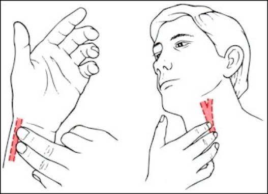 达到运动目标？心率指标很重要