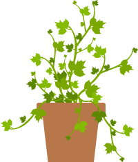 最理想的生活：宁静的读书，自由的跑步，相伴的爱情