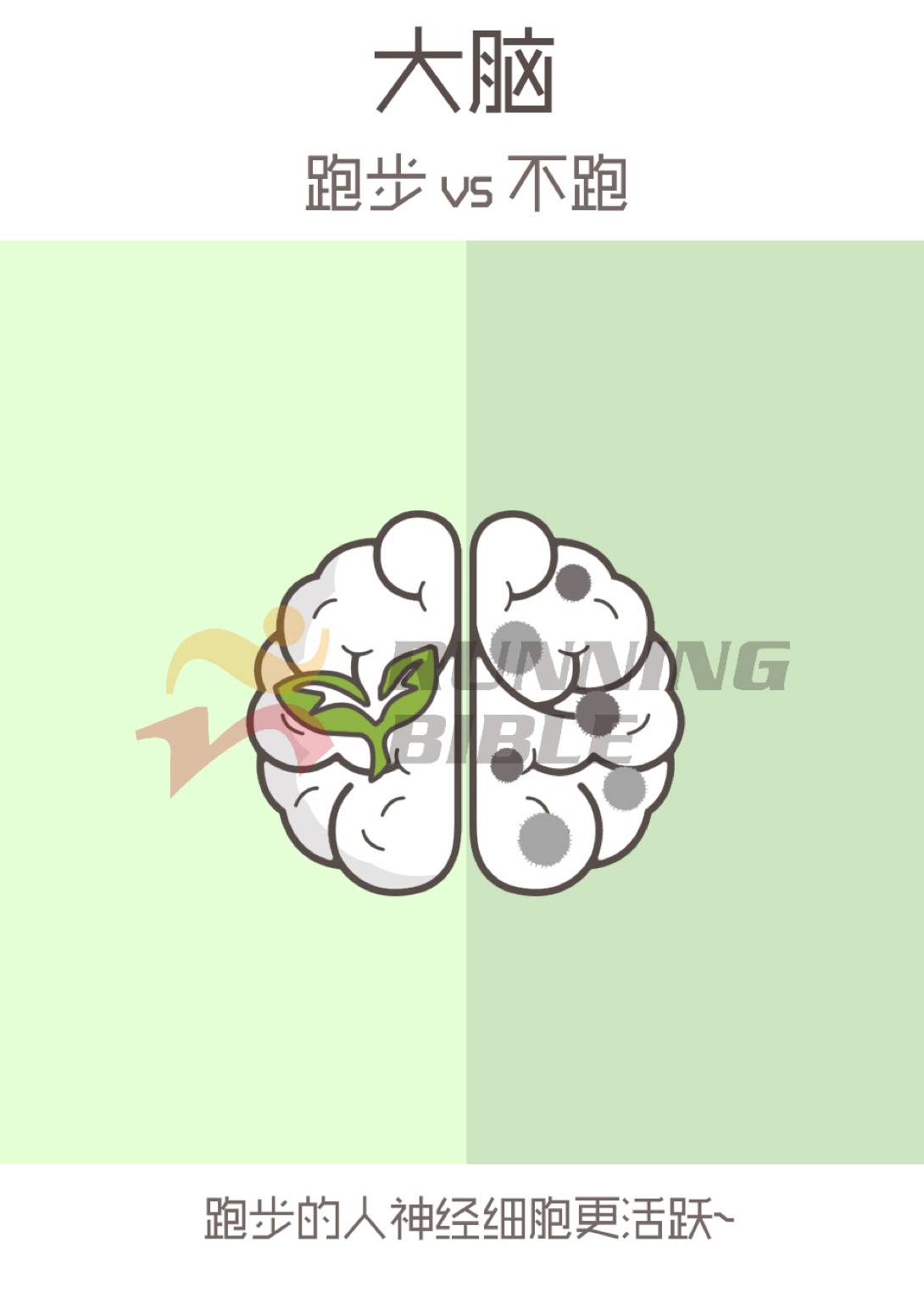 跑步vs不跑！原来这么不同！