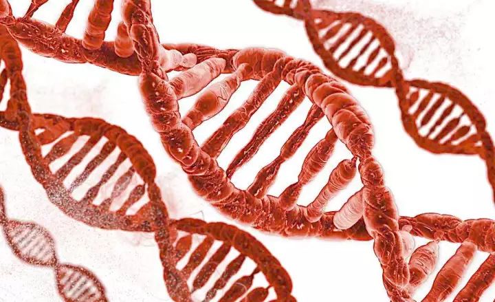 跑步能优化基因？真有这么神奇？