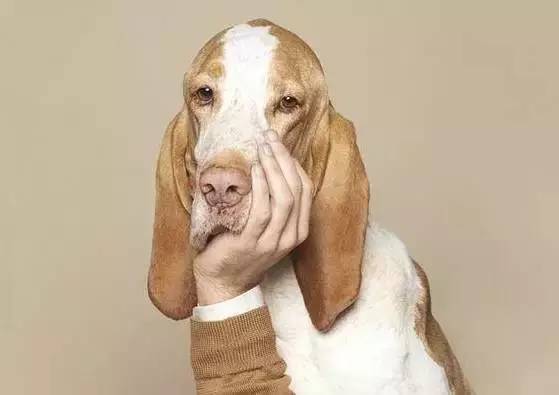 学习、工作很忙的人如何合理安排运动时间？