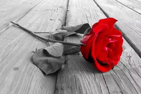 能解决所有情绪问题！你只需要这个办法