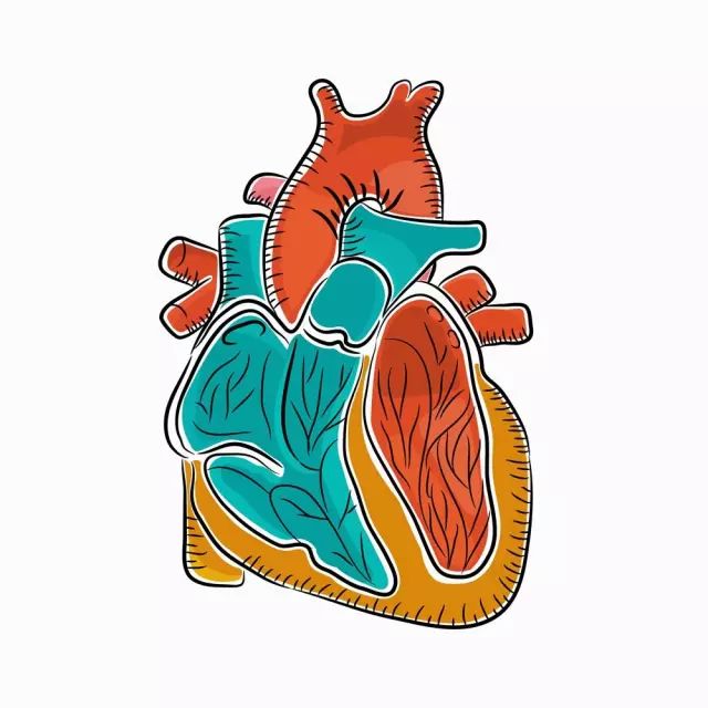 跑后牙疼牙痒痒？你要注意心脏问题