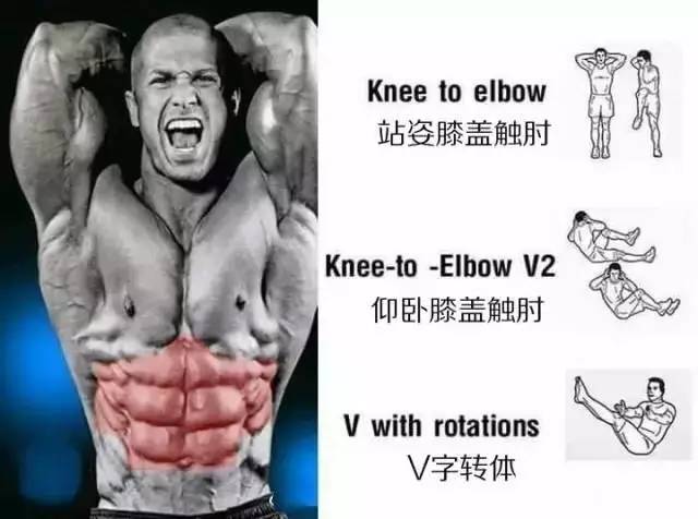 事半功倍的腹肌练习法｜每一块肌肉都有一套专属动作！