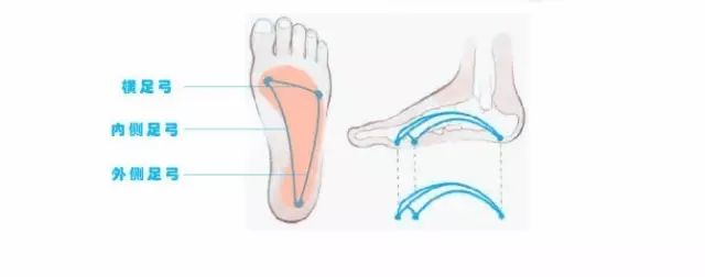菜鸟初跑步秘籍！一篇解答所有疑问