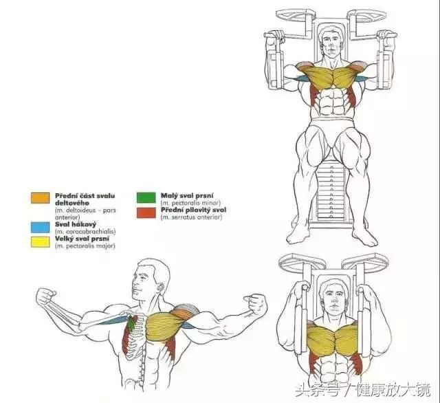 55组健身房器械动作指南！不再做“器械白痴”！