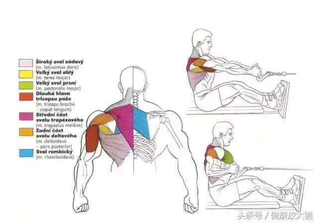 55组健身房器械动作指南！不再做“器械白痴”！