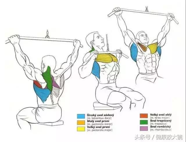 55组健身房器械动作指南！不再做“器械白痴”！