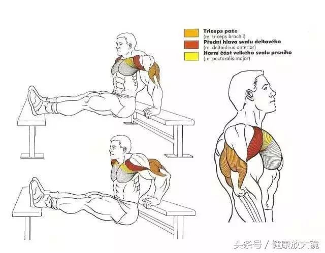 55组健身房器械动作指南！不再做“器械白痴”！