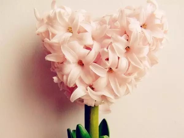 不输给过程，就会有好结果