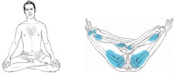 福利｜在家“摊尸”也健康？冬天运动就该这样做！
