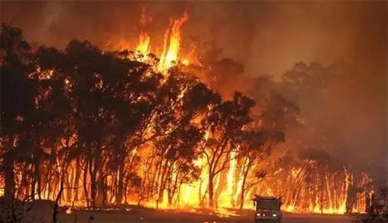 夺命or救命？跑步在你眼中是怎样的存在呢？