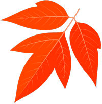 北马必修课！如何提高LT门槛？