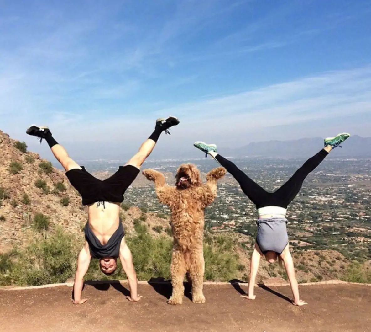 男人、老婆、狗...这个健身故事我给100分！