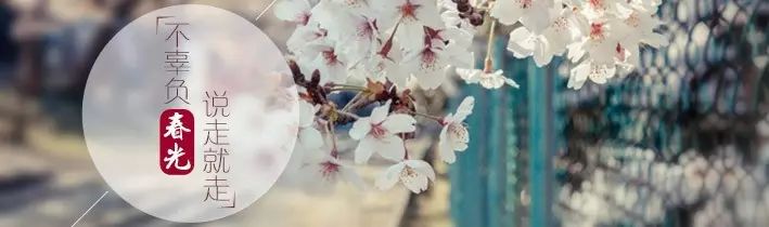 为什么要跑步？我只是不想辜负...