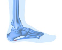立秋福利｜跑步圣经送书喽！