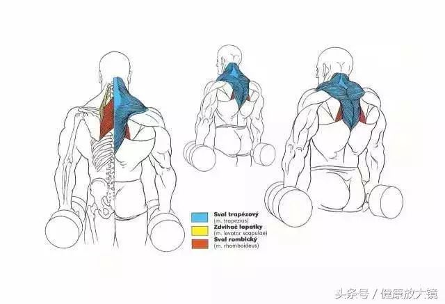 55组健身房器械动作指南！不再做“器械白痴”！