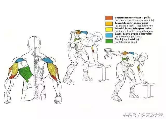 55组健身房器械动作指南！不再做“器械白痴”！