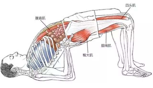 福利｜在家“摊尸”也健康？冬天运动就该这样做！