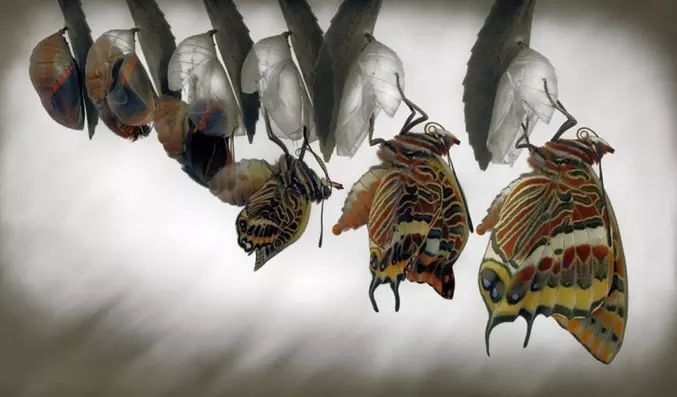 如果这世界真有奇迹，那只是努力的另一个名字。