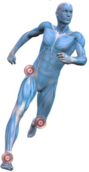 立秋福利｜跑步圣经送书喽！