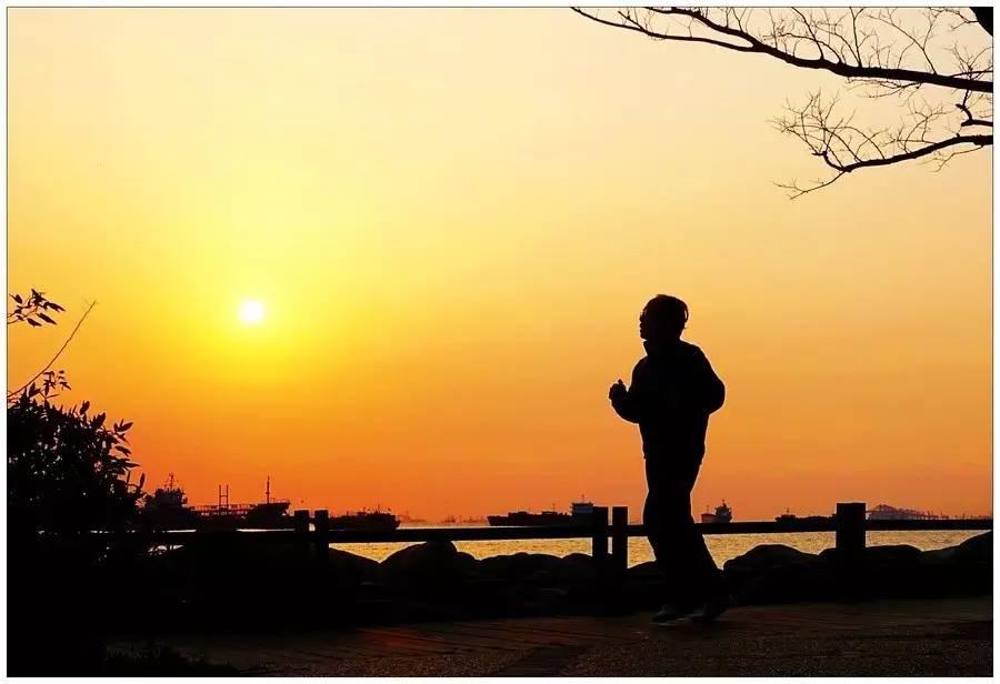 晨跑？午后跑？夜跑？夏天该如何选择？