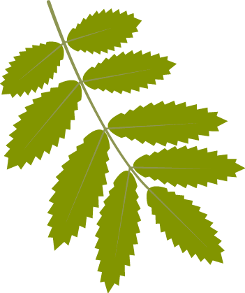 @跑者｜如何提高乳酸阈值门槛？