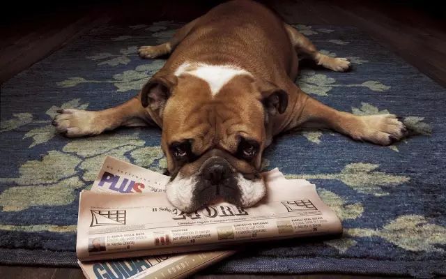 这个夏天不懒惰！别再为肥胖找借口！