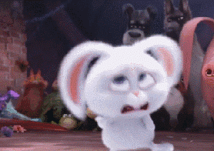 内涵福利｜你知道PACER那些霸气故事吗？