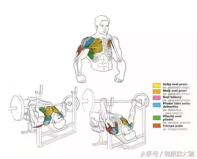 55组健身房器械动作指南！不再做“器械白痴”！