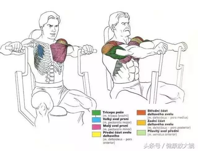 55组健身房器械动作指南！不再做“器械白痴”！
