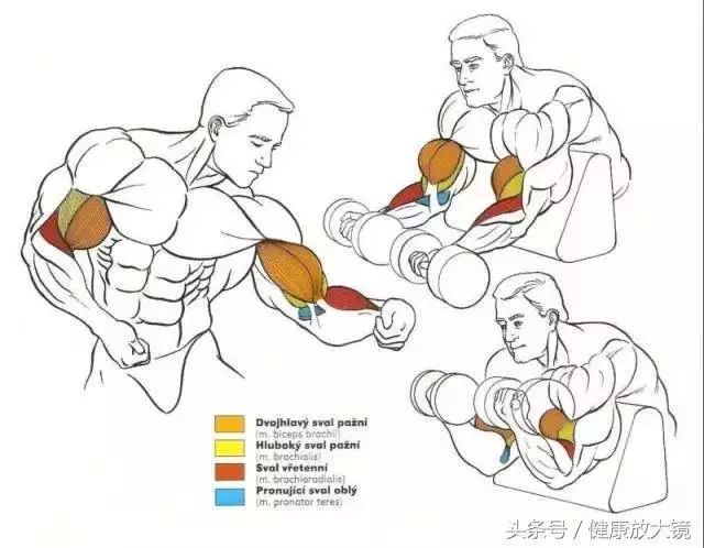 55组健身房器械动作指南！不再做“器械白痴”！