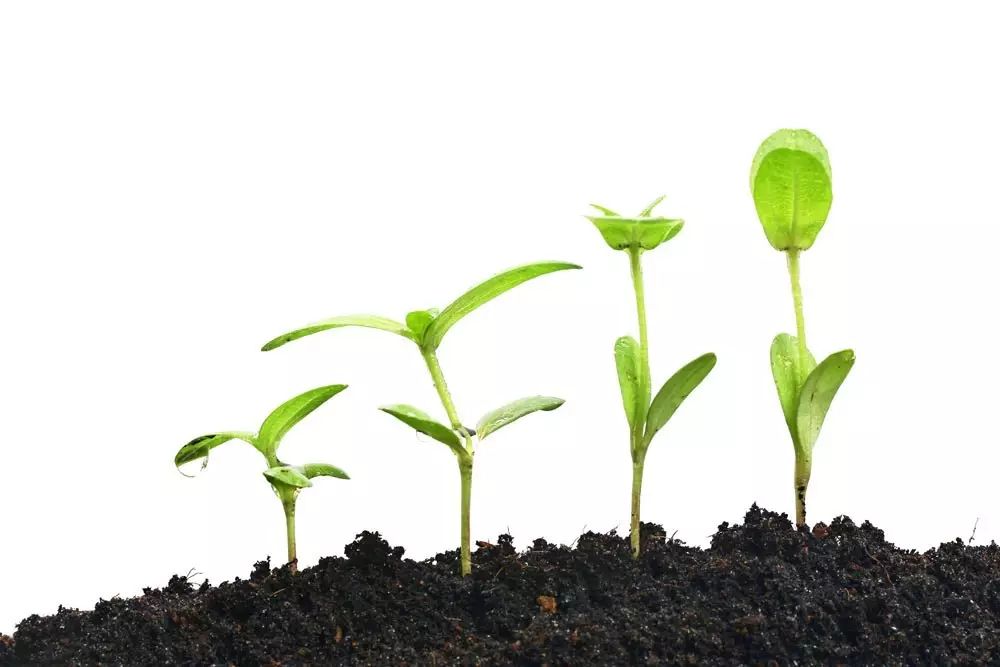 不输给过程，就会有好结果