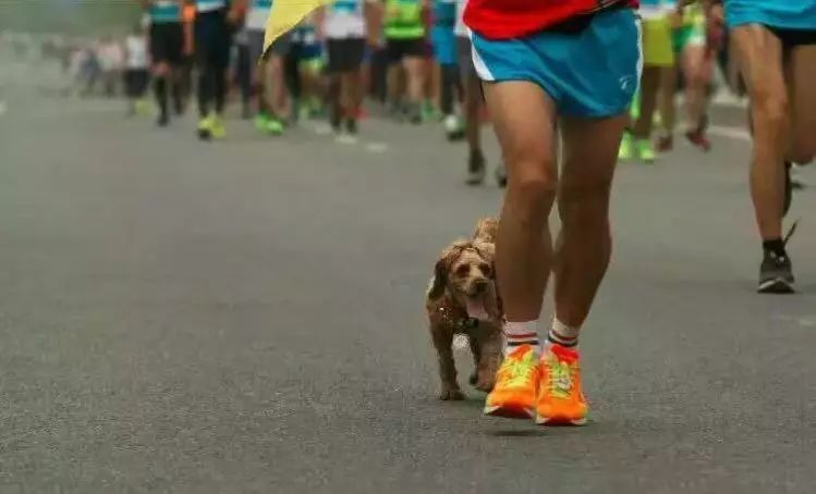 跑友分享｜跑道上铸就康复神话