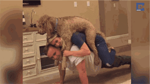 男人、老婆、狗...这个健身故事我给100分！