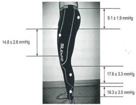 【跑马狂欢节-第六弹】Skins爆品战衣为你坚守价格底线！